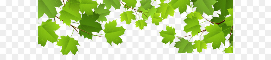 Leaf Clip art - Decorative Leaves Transparent PNG Clip Art Image png download - 11174*3193 - Free Transparent Leaf png Download.
