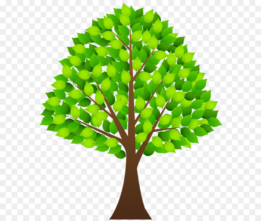 Clip art - Tree with Green Leaves Transparent PNG Clip Art Image png download - 4303*5000 - Free Transparent Tree png Download.