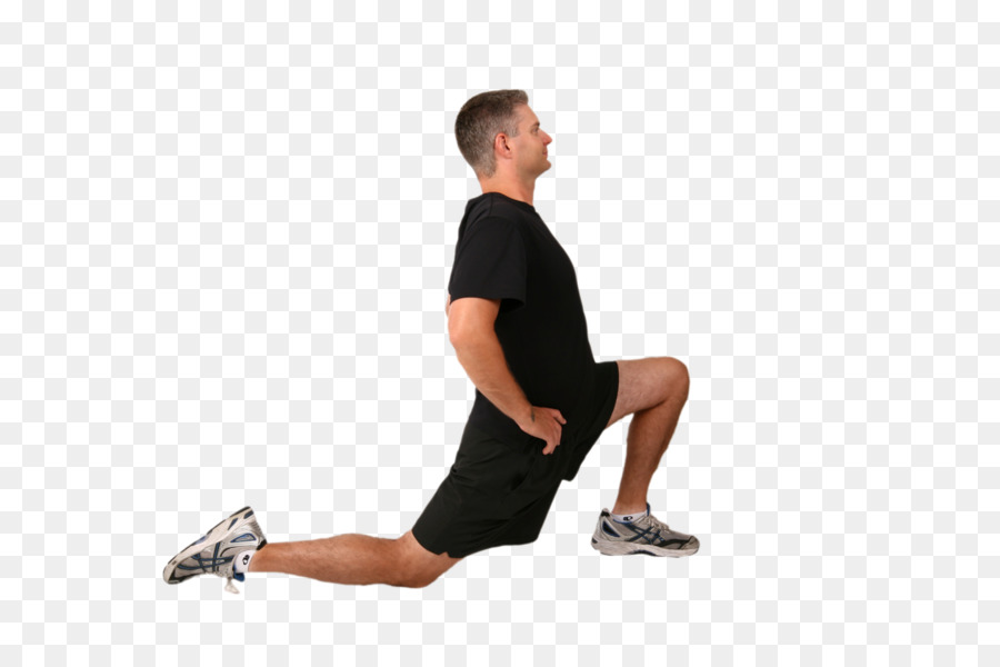 Active stretching Iliopsoas Psoas major muscle Hip - legs png download - 1430*953 - Free Transparent  png Download.