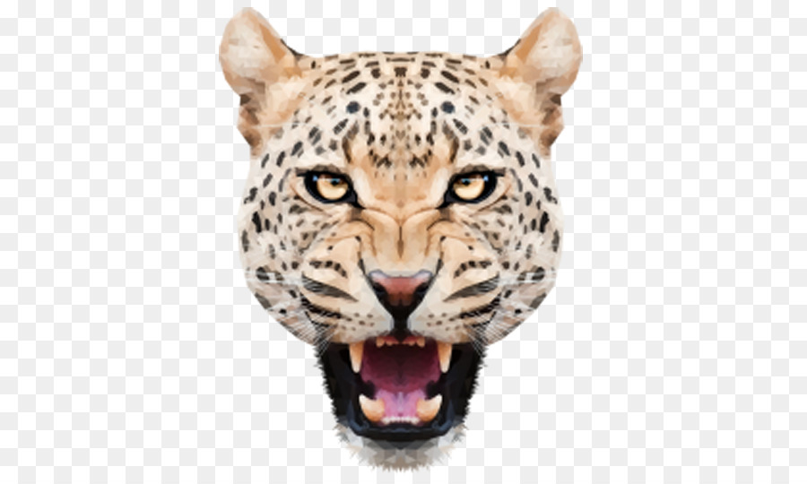 Leopard Jaguar Felidae Tiger - Angry leopard head png download - 600*538 - Free Transparent Leopard png Download.