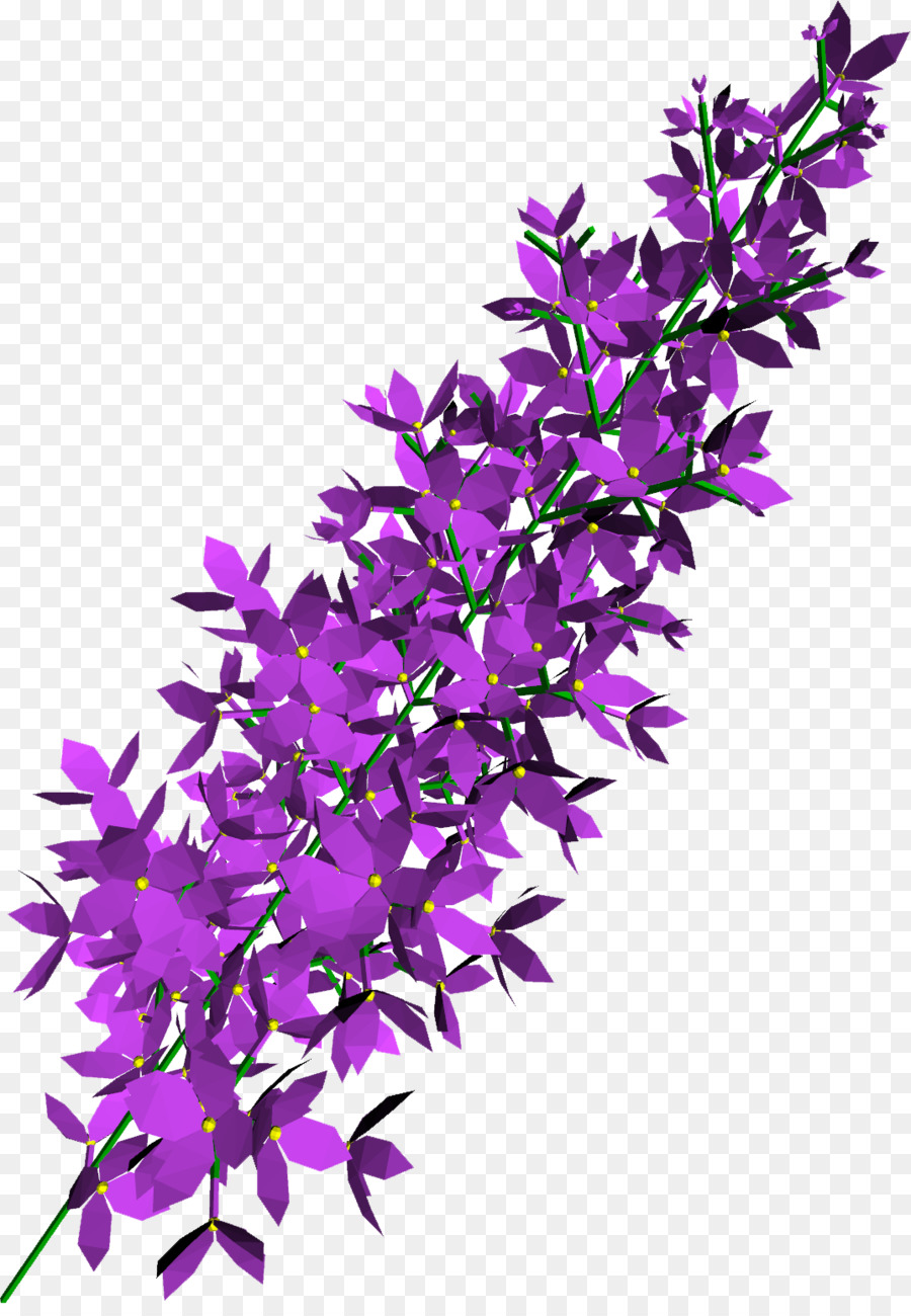 Purple - Lilac PNG Transparent png download - 1074*1537 - Free Transparent Purple png Download.