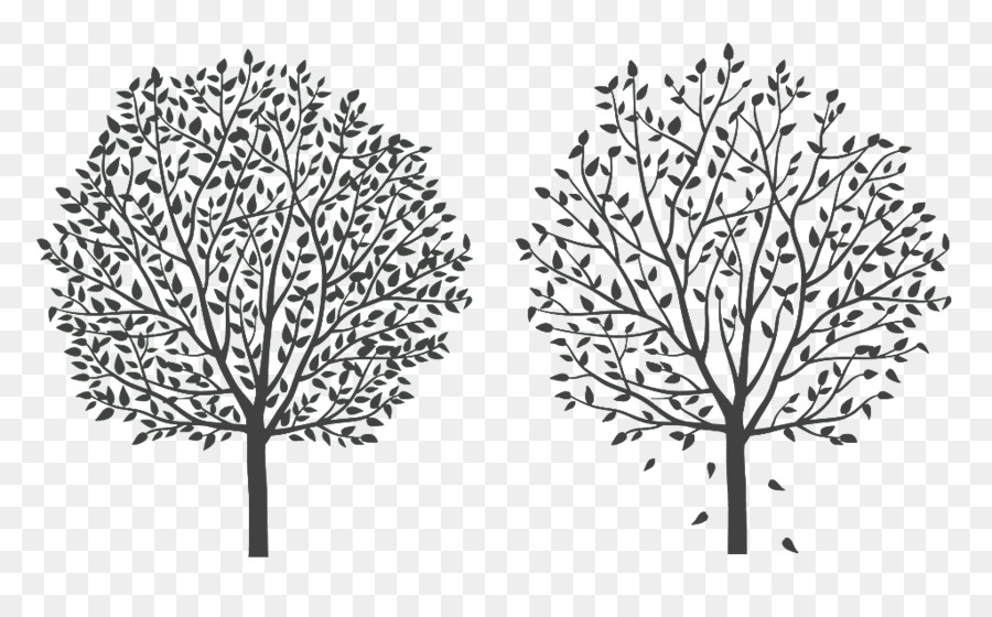 Tree Twig Silhouette Cartoon Line art - Two black silhouettes of trees png download - 1024*622 - Free Transparent Tree png Download.