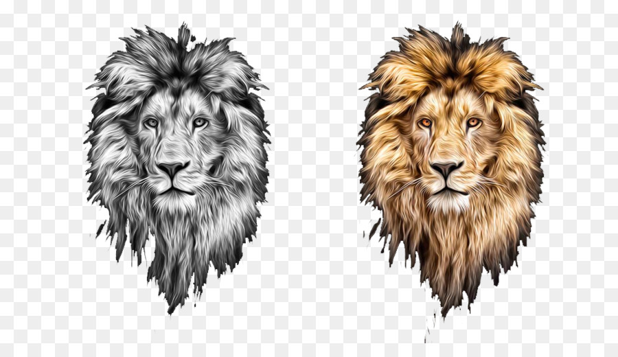Lions Head Lionhead rabbit - Two hand-painted lion head png download - 1000*556 - Free Transparent Lion png Download.