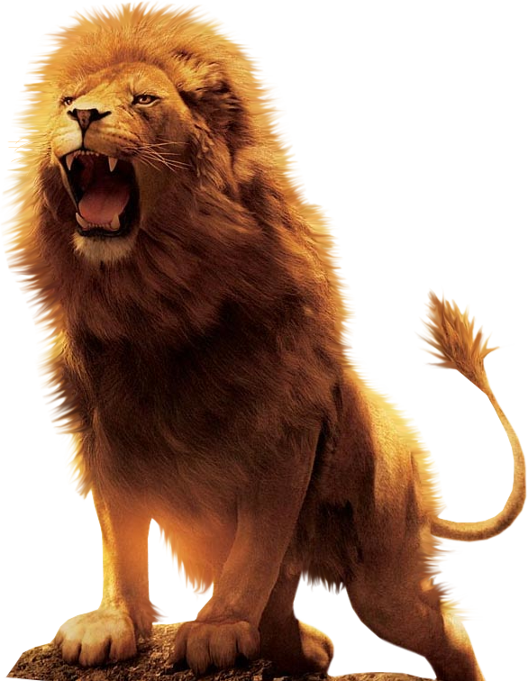 Png Lion Head Roaring Transparent Lion Head Roaring Png Images Pluspng