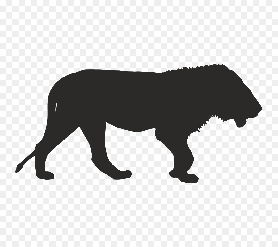 Africa Lion Vector graphics Clip art Rhinoceros - africa png download - 800*800 - Free Transparent Africa png Download.