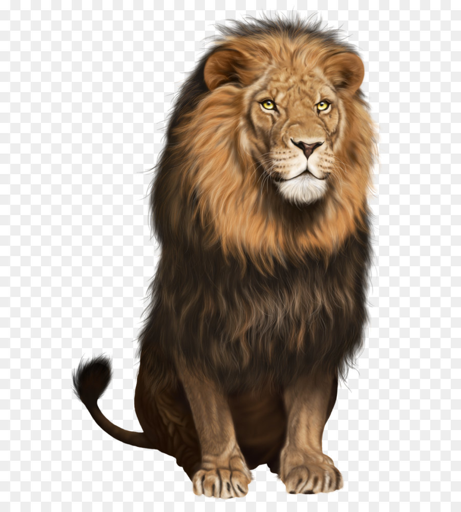 Lion Cat Clip art - Lion Transparent PNG Clip Art Image png download - 859*1306 - Free Transparent Lionhead Rabbit png Download.