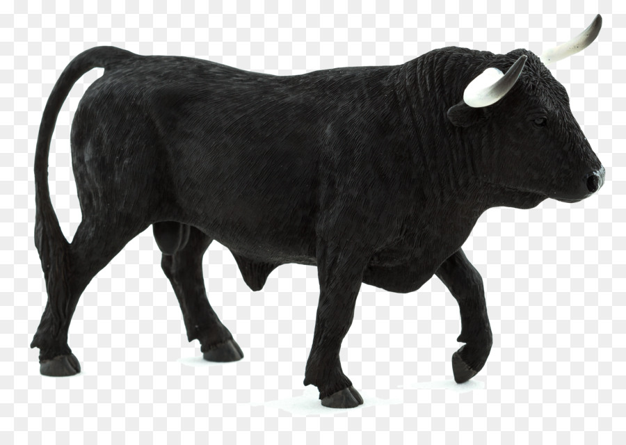 Spanish Fighting Bull Texas Longhorn Jersey cattle Highland cattle English Longhorn - bull png download - 2457*1713 - Free Transparent Spanish Fighting Bull png Download.