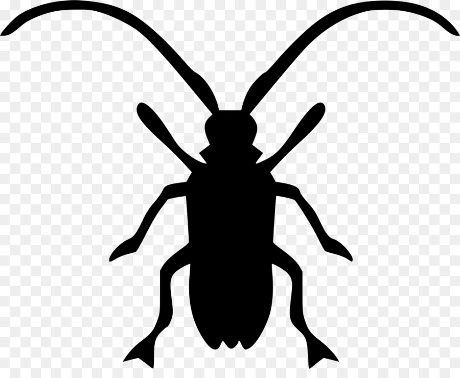 Asian long-horned beetle Longhorn beetle Computer Icons Clip art - beetle png download - 980*786 - Free Transparent Beetle png Download.