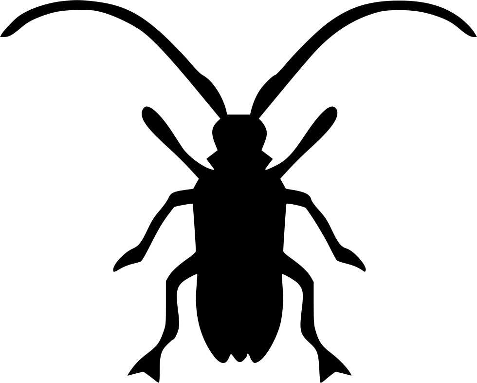 Asian Long Horned Beetle Longhorn Beetle Computer Icons Clip Art