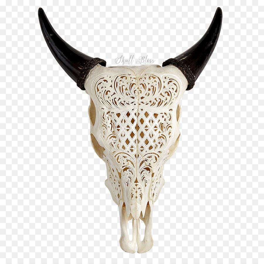 Texas Longhorn Skull Aurochs Wall decal - Longhorn png download - 1000*1000 - Free Transparent Texas Longhorn png Download.