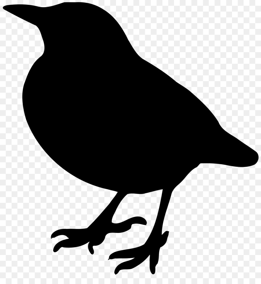 American crow Lovebird Silhouette Clip art - Bird png download - 2343*2500 - Free Transparent American Crow png Download.