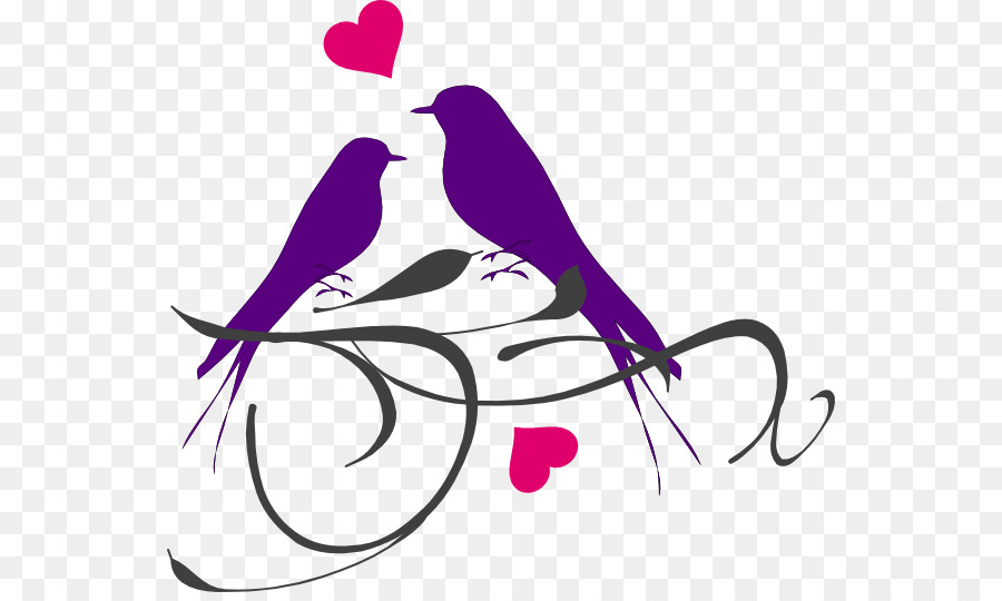 Lovebird Silhouette Clip art - Bird png download - 600*532 - Free Transparent Lovebird png Download.