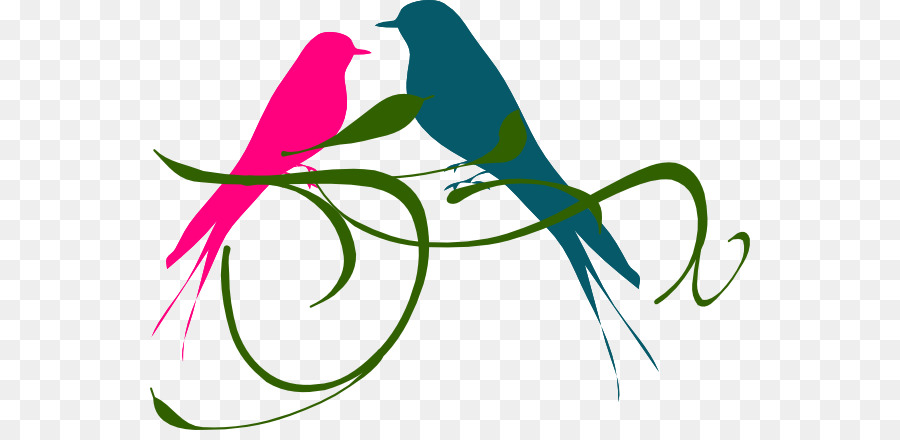 Lovebird Budgerigar Silhouette Clip art - Bird png download - 600*430 - Free Transparent Lovebird png Download.