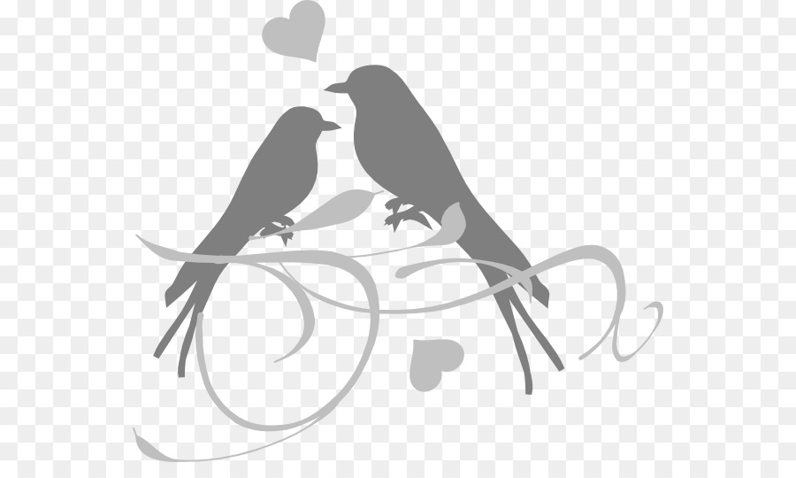 Lovebird Wedding invitation Clip art - Bird png download - 600*522 - Free Transparent Lovebird png Download.