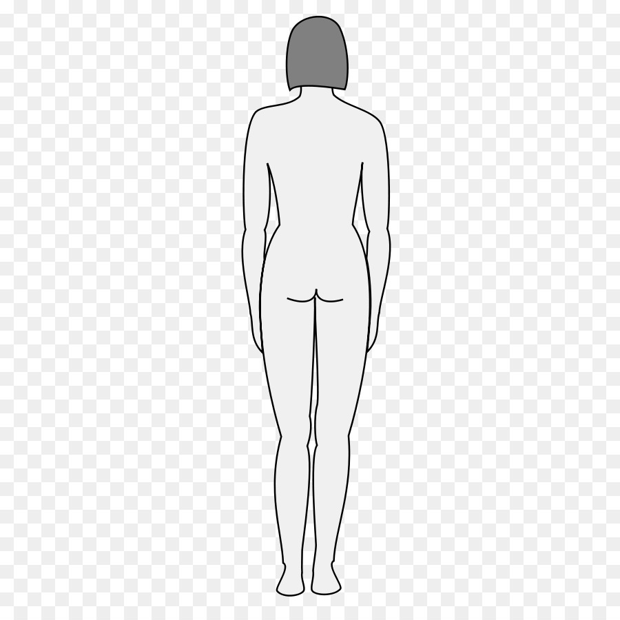 Human body Female body shape Silhouette Clip art - women body silhouette png download - 350*900 - Free Transparent  png Download.