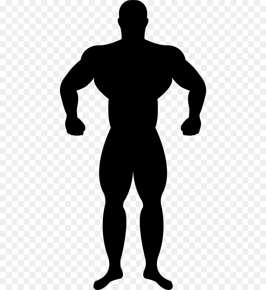Muscle Silhouette Bodybuilding - Silhouette png download - 496*980 - Free Transparent Muscle png Download.