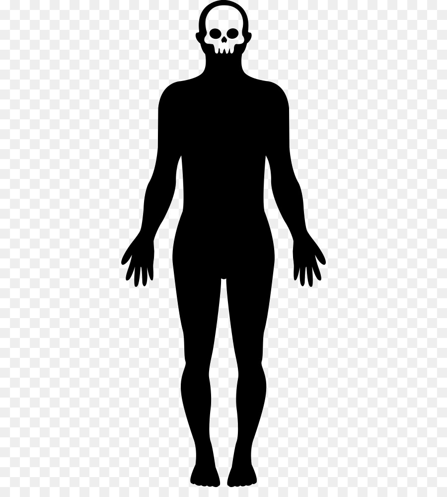 Homo sapiens Silhouette Human body Clip art - human body png download - 412*981 - Free Transparent Homo Sapiens png Download.