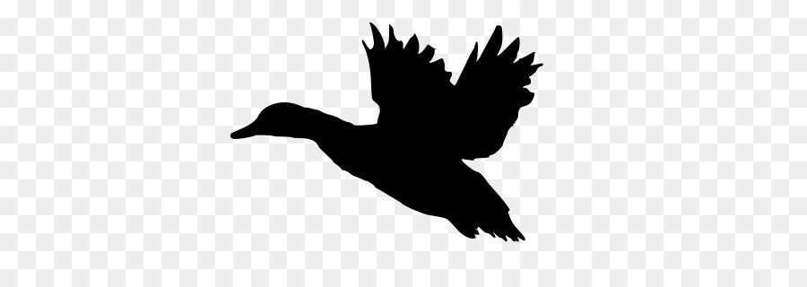 Duck Mallard Silhouette Clip art - duck silhouette png download - 464*308 - Free Transparent Duck png Download.