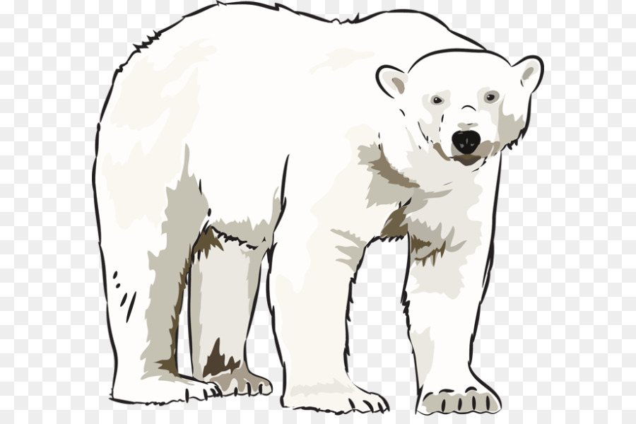 Polar bear American black bear Clip art - Winter Bear Cliparts png download - 640*588 - Free Transparent Polar Bear png Download.