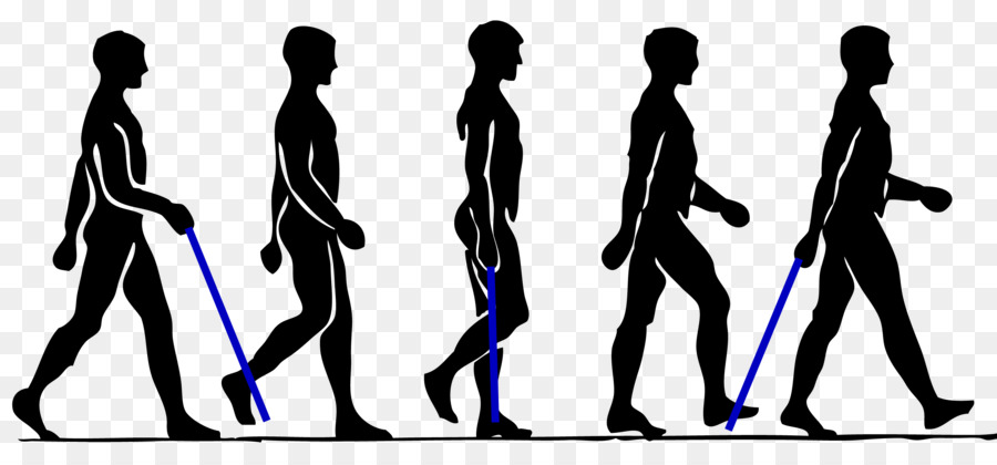 Walking Person Clip art - Walking man silhouette collection png download - 2692*1250 - Free Transparent Walking png Download.