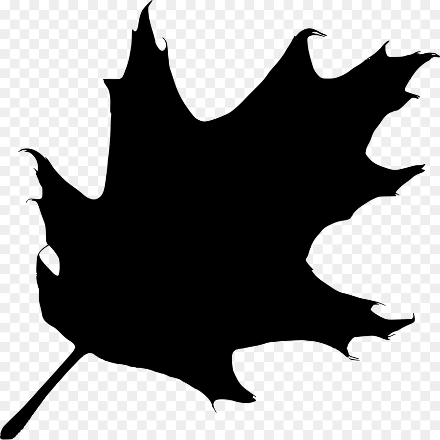 Silhouette Maple leaf Clip art - Silhouette png download - 2400*2396 - Free Transparent Silhouette png Download.