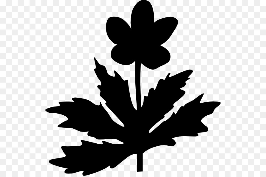 Maple leaf Clip art Silhouette Flower -  png download - 594*596 - Free Transparent Maple Leaf png Download.