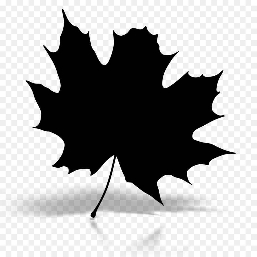 Maple leaf Baku Silhouette Image Clip art -  png download - 1600*1600 - Free Transparent Maple Leaf png Download.