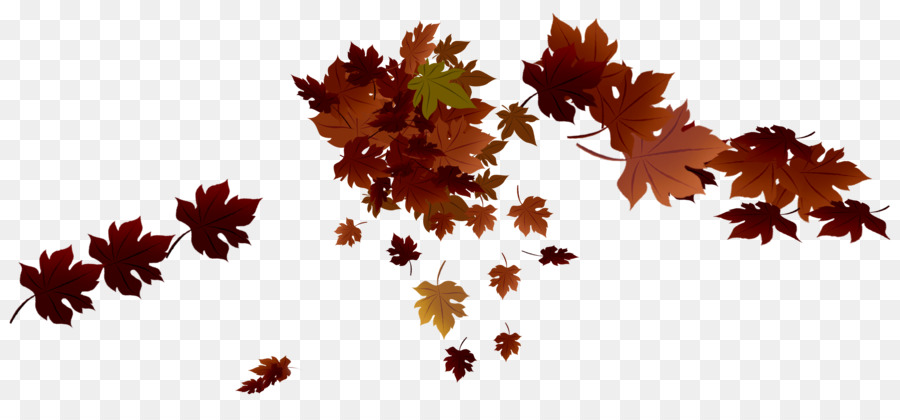 Maple leaf Autumn leaf color - autumn leaves png download - 3305*1488 - Free Transparent Leaf png Download.