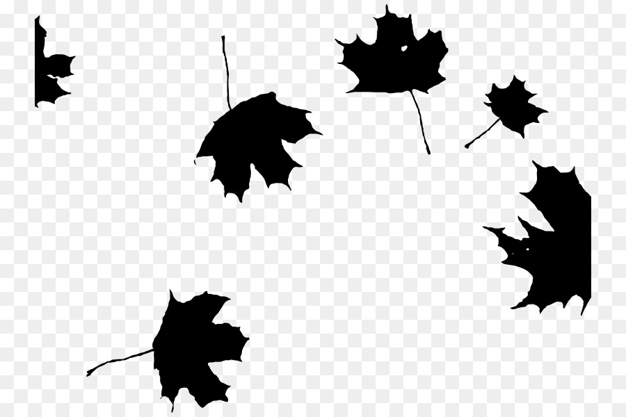 Autumn leaf color Maple leaf Clip art - Leaf png download - 800*600 - Free Transparent Autumn Leaf Color png Download.