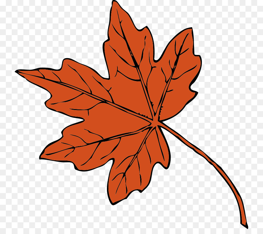 Maple leaf Scalable Vector Graphics Clip art - Maple Leaf Silhouette png download - 800*783 - Free Transparent Maple Leaf png Download.