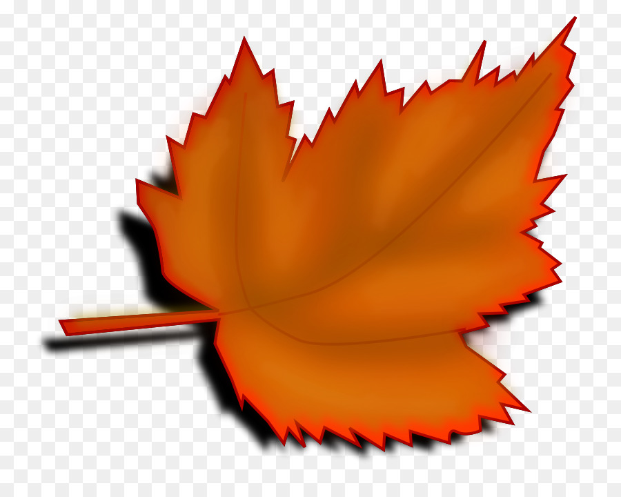 Red maple Maple leaf Autumn leaf color Clip art - Big Leaves Cliparts png download - 900*702 - Free Transparent Red Maple png Download.