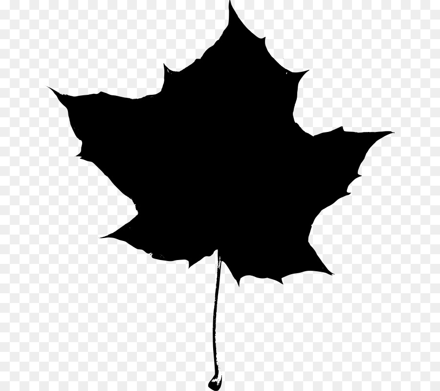 Maple leaf Silhouette Clip art - Free Silhouette Images png download - 715*800 - Free Transparent Maple Leaf png Download.