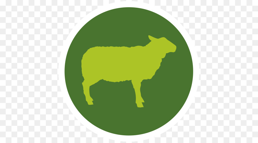 Sheep Cattle Domestic pig Meat packing industry Hay - laborious png download - 500*500 - Free Transparent Sheep png Download.