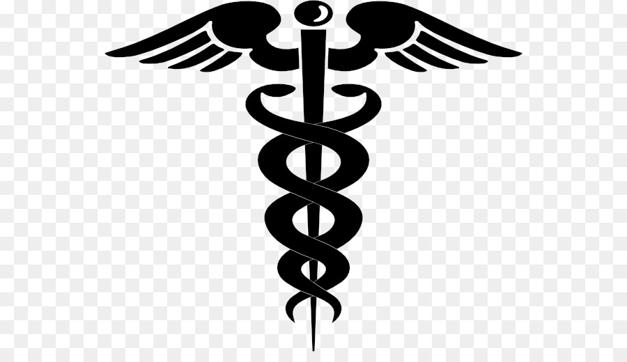 Staff of Hermes Caduceus as a symbol of medicine Clip art - Medical Cliparts png download - 600*505 - Free Transparent Staff Of Hermes png Download.