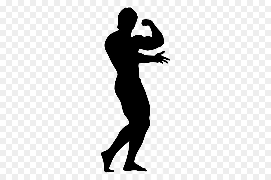 Bodybuilding Silhouette Physical fitness - handsome men silhouettes png download - 600*600 - Free Transparent Bodybuilding png Download.