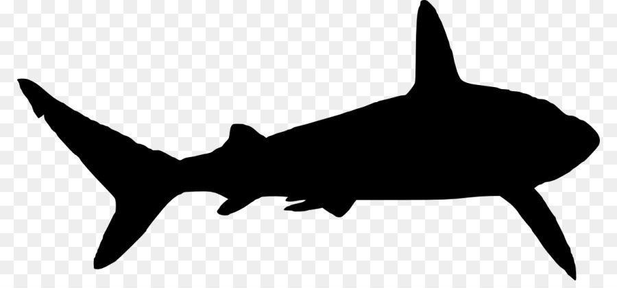 Great white shark Silhouette Clip art - shark png download - 850*409 - Free Transparent Shark png Download.
