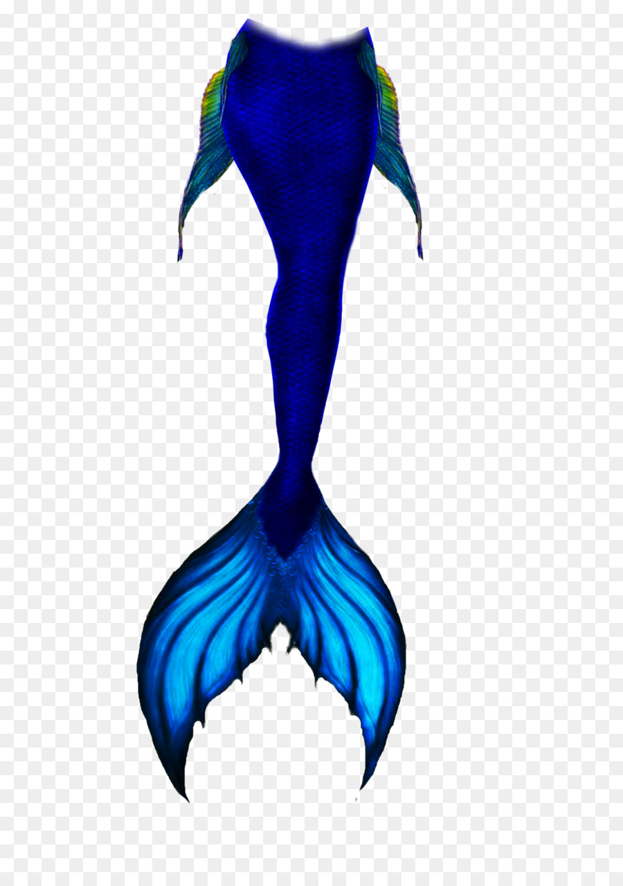 Mermaid Tail Drawing Sketch - mermaid tail png download - 632*1264 - Free Transparent Mermaid png Download.