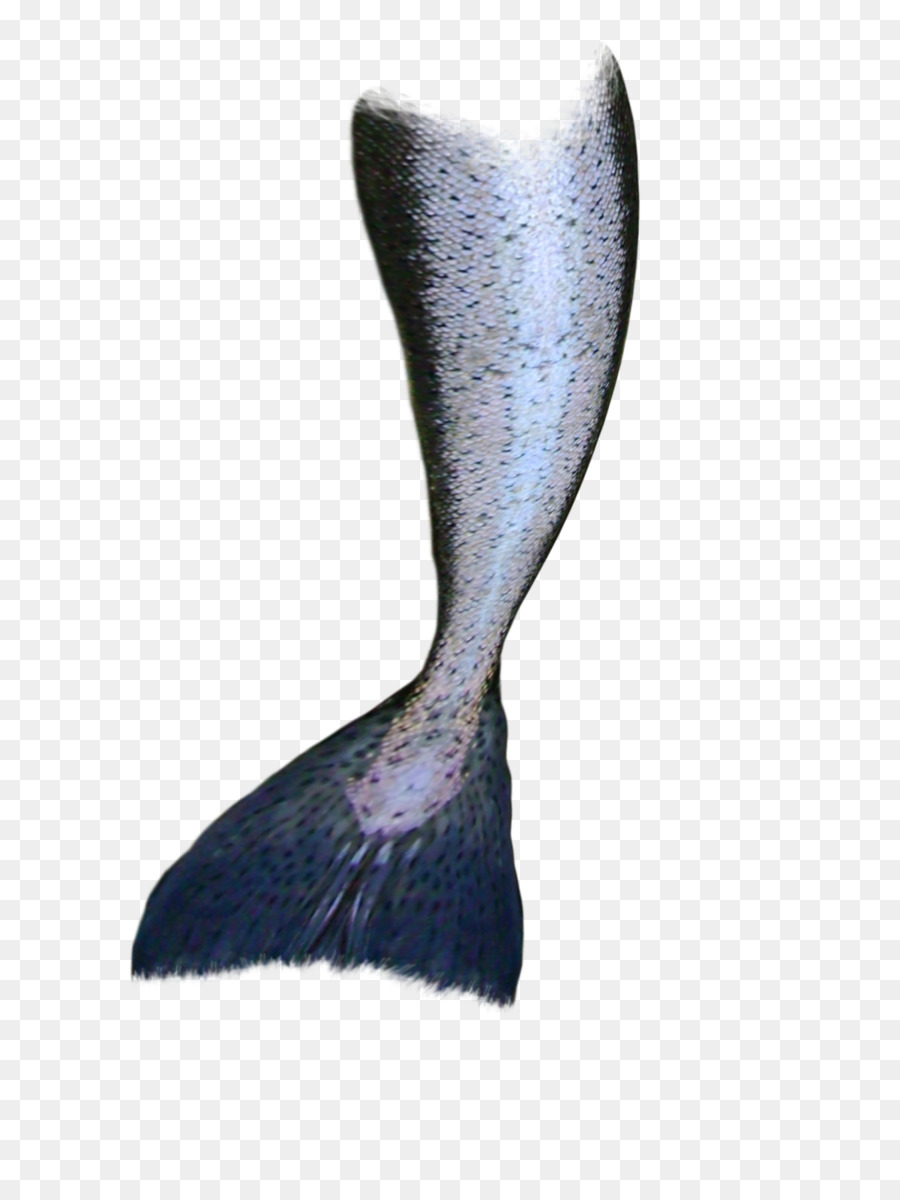 Mermaid Drawing Tail Clip art - mermaid tail png download - 900*1200 - Free Transparent Mermaid png Download.