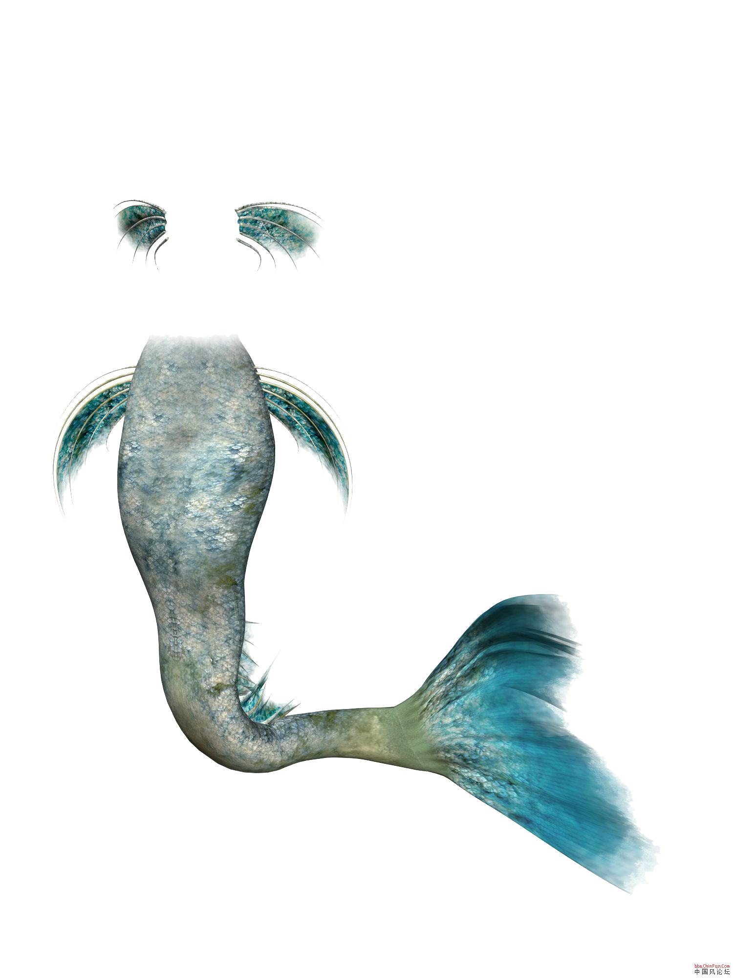 Mermaid Rusalka Clip Art Mermaid Tail Png Download 1500 2000 Free Transparent Mermaid Png Download Clip Art Library