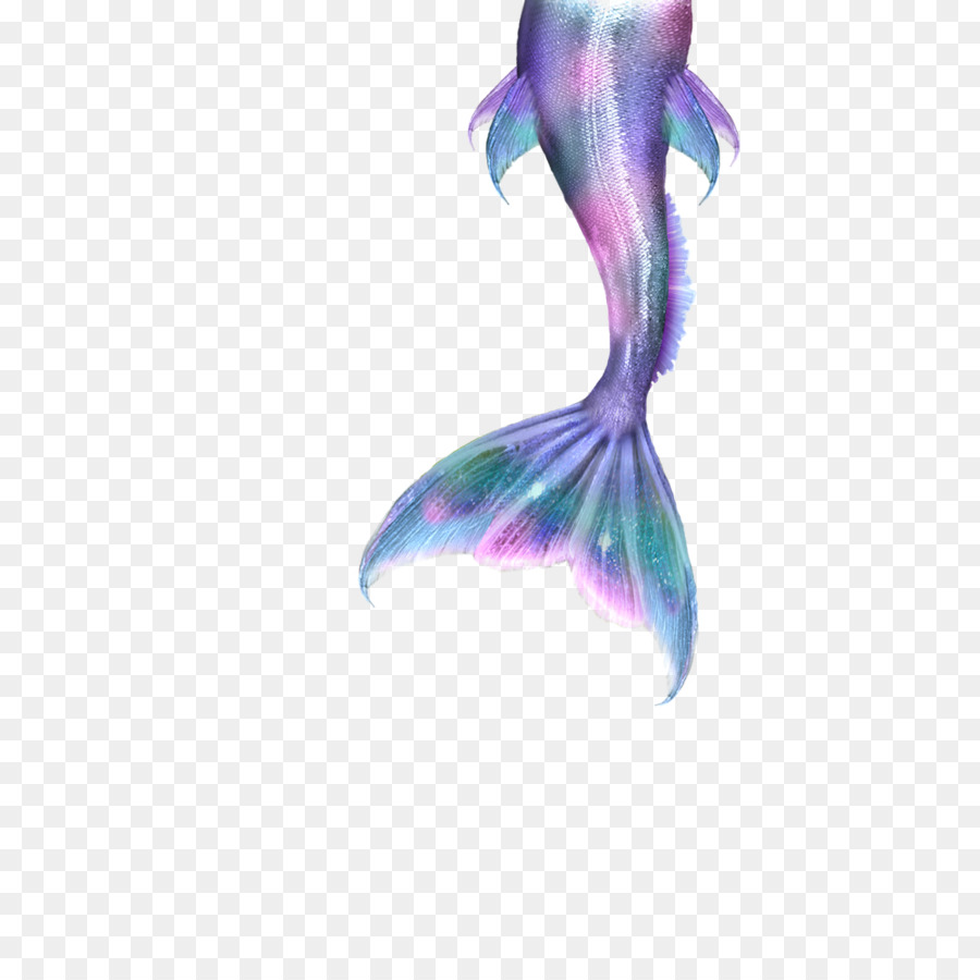 Ariel Merliah Summers Mermaid Tail Gel nails - Mermaid png download - 1000*1000 - Free Transparent Ariel png Download.