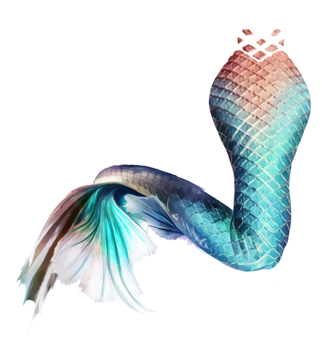 Mermaid Tail Siren Sticker Mug Mermaid Png Download 10241120