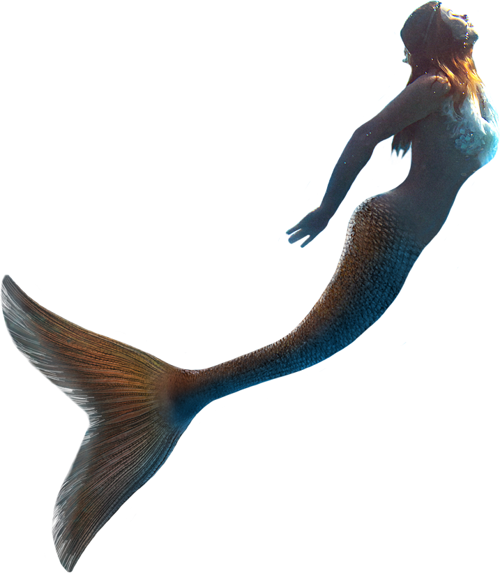 Little Mermaid Llc United Kingdom Mermaid Png Download 717821