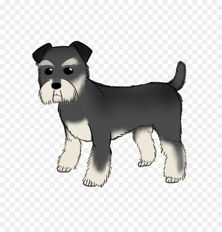 Miniature Schnauzer Puppy Dog breed Companion dog - Miniature Schnauzer png download - 2756*2846 - Free Transparent Miniature Schnauzer png Download.