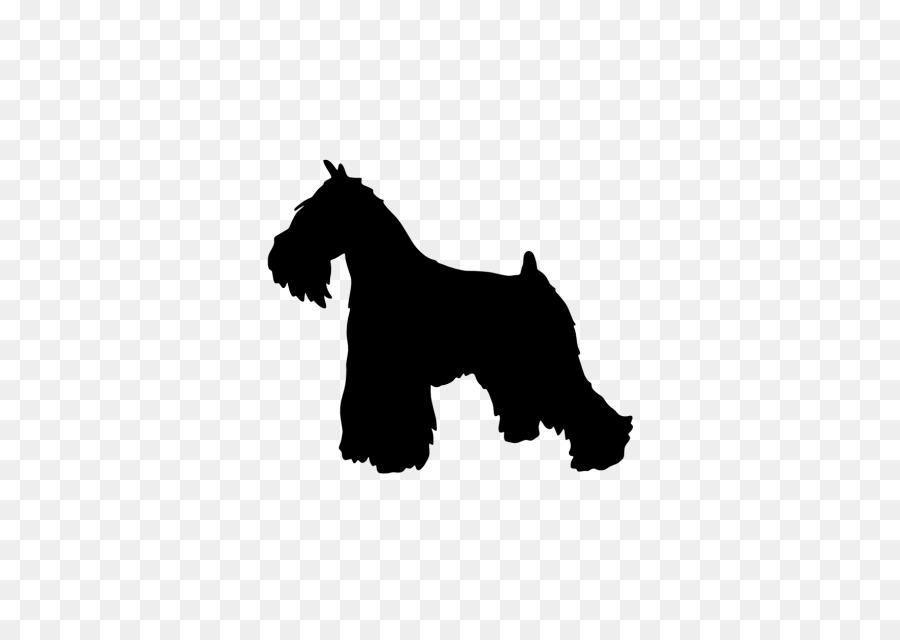 Miniature Schnauzer Scottish Terrier Dog breed Clip art - Silhouette png download - 640*640 - Free Transparent Miniature Schnauzer png Download.