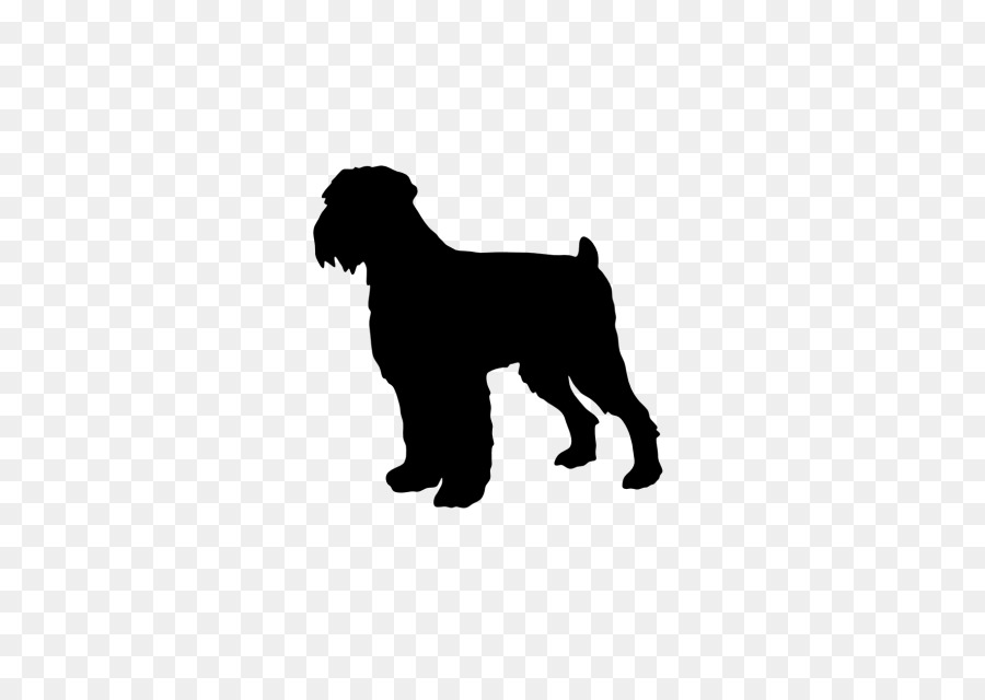 Miniature Schnauzer Affenpinscher Schnoodle Dog breed Puppy - puppy png download - 640*640 - Free Transparent Miniature Schnauzer png Download.