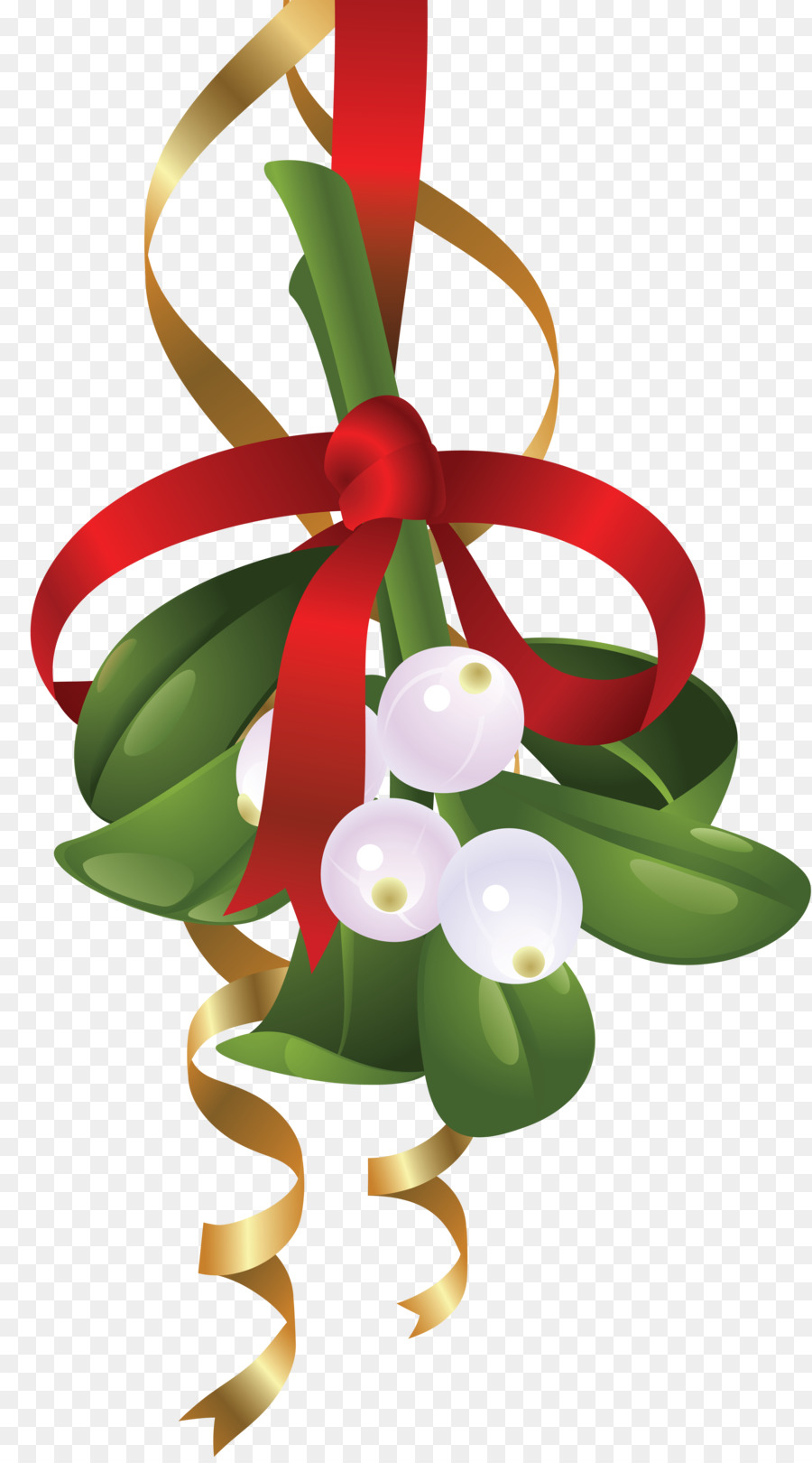 Mistletoe Portable Network Graphics Clip art Illustration Image - canada day celebration ribbon png christmas png download - 3493*6262 - Free Transparent Mistletoe png Download.
