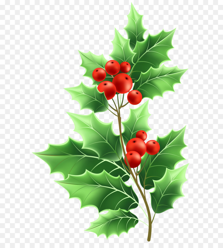 Image file formats Lossless compression - Christmas Mistletoe Transparent PNG Clip Art png download - 3964*6000 - Free Transparent Mistletoe png Download.