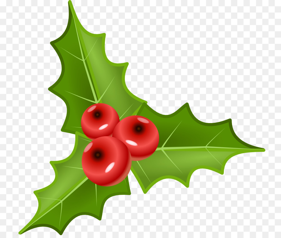 Berry Common holly Clip art - Mistletoe Cliparts Transparent png download - 800*755 - Free Transparent Berry png Download.