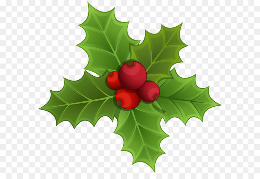 Mistletoe Christmas Clip art - Mistletoe PNG Clipart Image png download - 6185*5746 - Free Transparent Common Holly png Download.