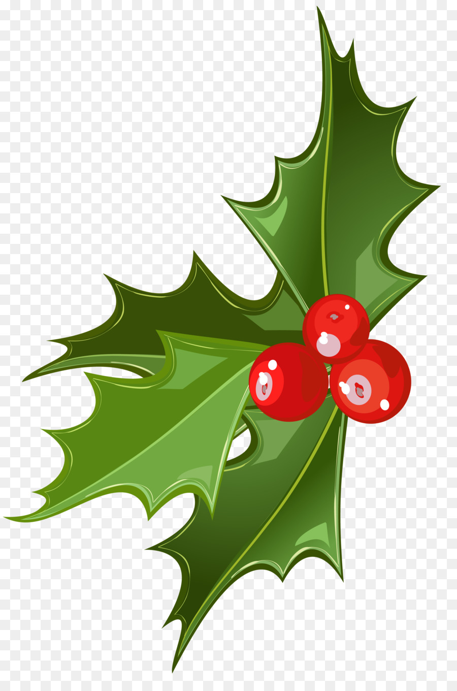 Mistletoe Christmas Viscum album Clip art - Mistletoe Cliparts Transparent png download - 2324*3461 - Free Transparent Mistletoe png Download.